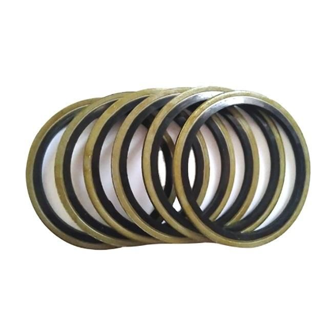 High-Quality Bonded Seal Washer Ring Seal M21