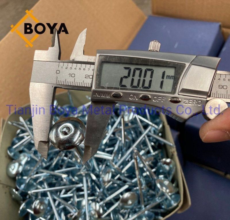 Prego Clavos / Galvanized Roofing Nails Plain and Twisted Shank