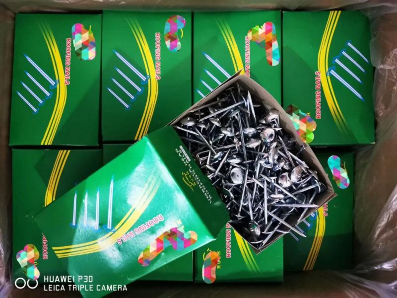 2.5"X9bwg Umbrella Head Roofing Nails for Kenya and Other Countries in The World