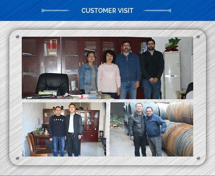 Professional Manufacturer Smooth Red Coated Coil Nail for Pallet