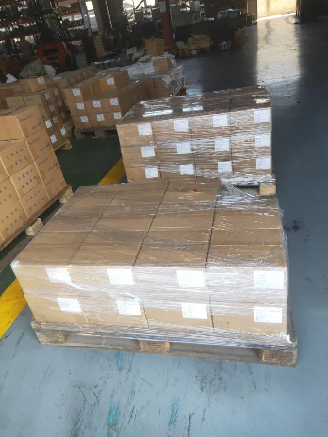 Ss 304 or 316 1/8-27 Nptf Plug for Diff Cover with Liquid Raw Material Belt