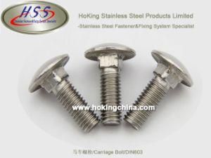 SGS Approved Stainless Steel Carriage Bolt (HSS-003) /DIN603