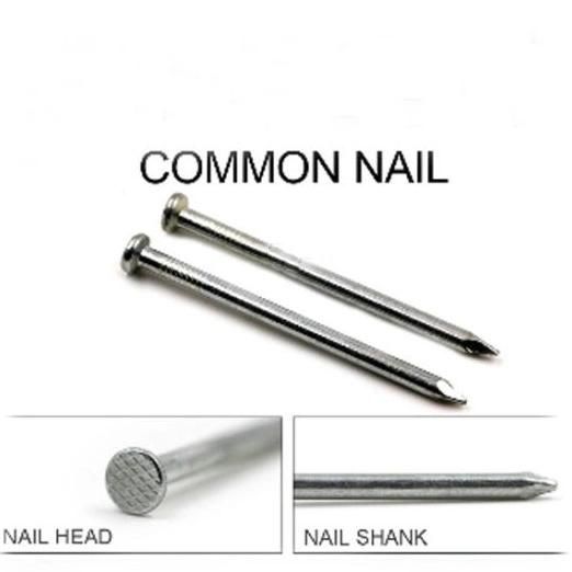 Q195/235 Professional Standard Polished Common Nail