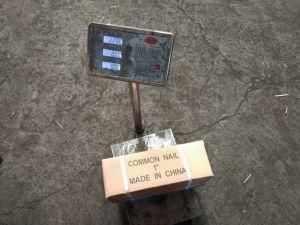 Hot Sell Common Round Iron Wire Nail