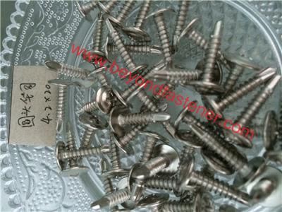 Pan Washer Head Self Drilling Screw Modified Truss Screw Truss Screw