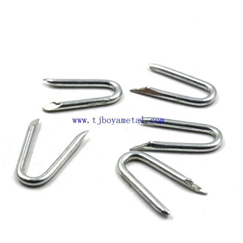 Factory U Shape Iron Wire Nail Common U Type Nail Fence Staples Barbed Shank U Nail