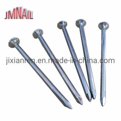DIN Standard Electro Galvnanized Nails with Good Price