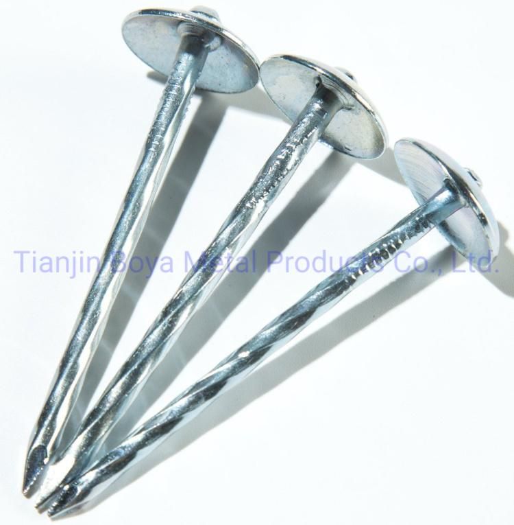 Chinese Factory Supply 2.5 Inch Wire Nails Umbrella Roofing Nail