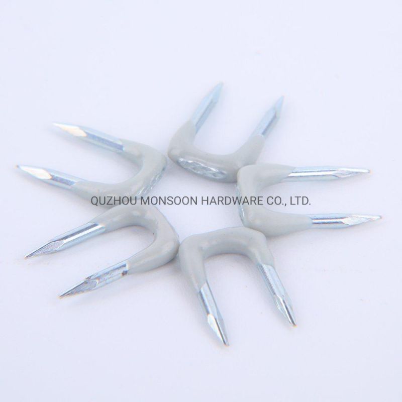 U Tpye DIP Plastic Staples Nails