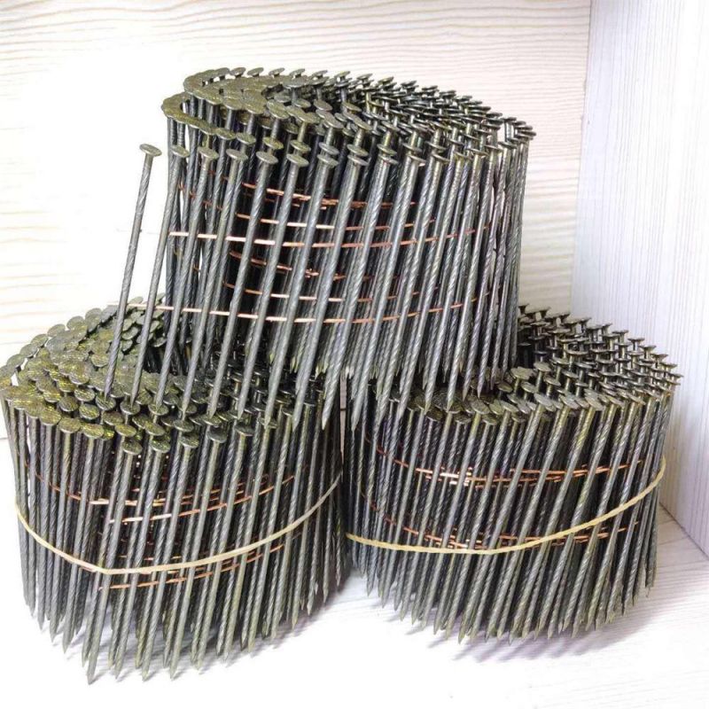Thread Volume Nail/Polished Rod Coil Nail