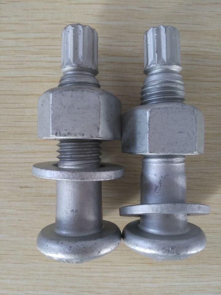 Made in China Black Twist off Type ASTM F2280 Tension Control Structural Tc Bolts