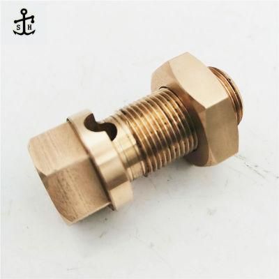 Custom Fastener Non Standard Special Style Bronze Hex Head Bolt and Nut Set Made in China