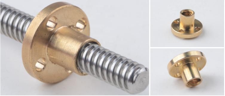 T5 T6 T8 T10 T12 Stainless Steel Trapezoidal Screw Lead Screw with Brass Nut Made in China