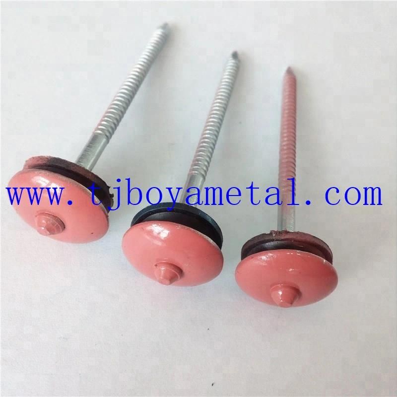 Color Umbrella Head Roofing Nail Umberlla Head Umbrella Type Roofing Nails Color Umbrella Head Roofing Nail with Washer From Factory