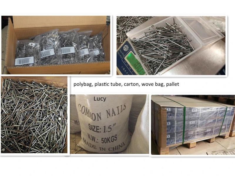 Galvanized Steel Lost Head Nail / Brad Nail / Bullet Head Nail