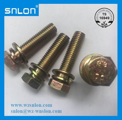Screw Bolt Assembly with Washer