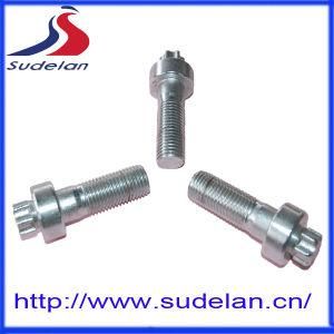 The Plum Blossom Head Shear Strength Bolt 10.9