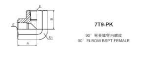 BSPT Thread Fitting (7T9-PK)