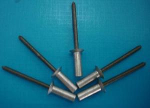 Manufacture Pop Blind Rivet