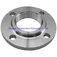 Stainless Steel 304/316 Flange