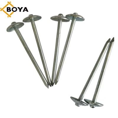 Roofing Nails Factory Sunshine Un Precio Favorable Clavos De Calamina Roofing Nails with Rubber to Peru