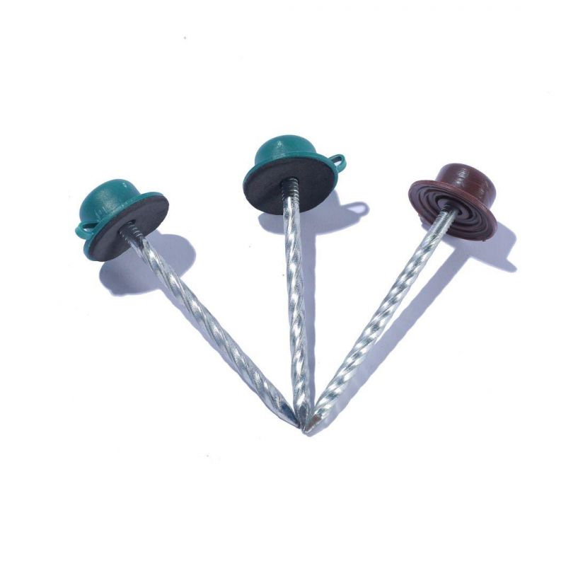 Nigeria Angola Zambia Namibia Market/China Factory 2 Inch Roofing Nails for Corrugated Sheets